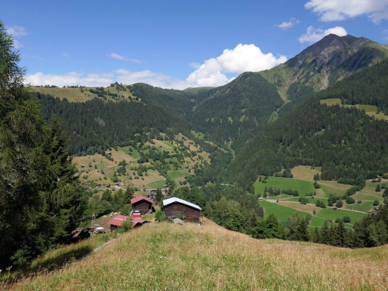Alpwiesen und Gipfel im Landschaftspark Binntal, zu dem Ernen gehört