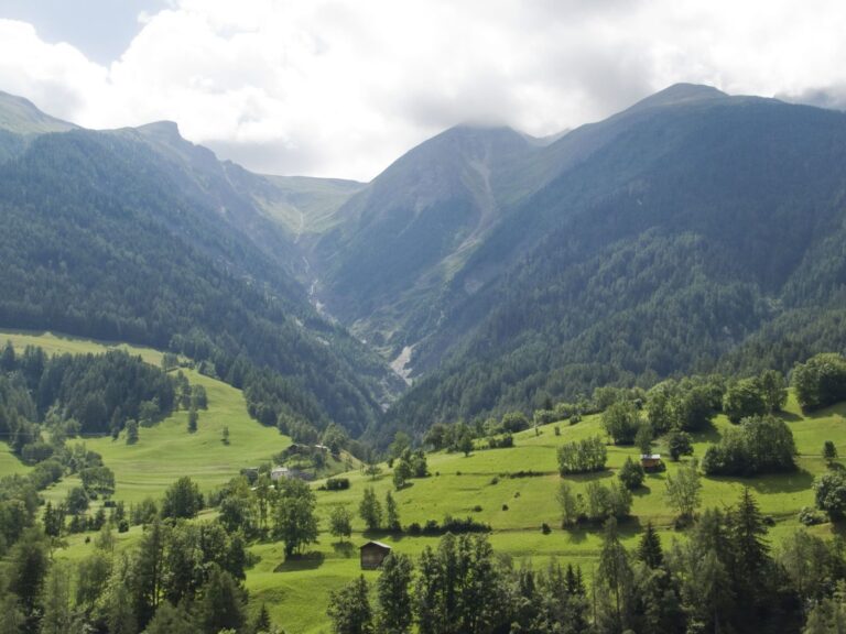 Sommerlicher Blick von Ernen ins grüne Tal, umgeben von Bergen