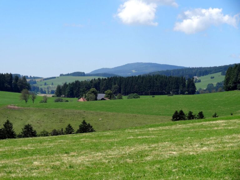 Weite Wiesen und Wälder im Hochschwarzwald bei St. Märgen